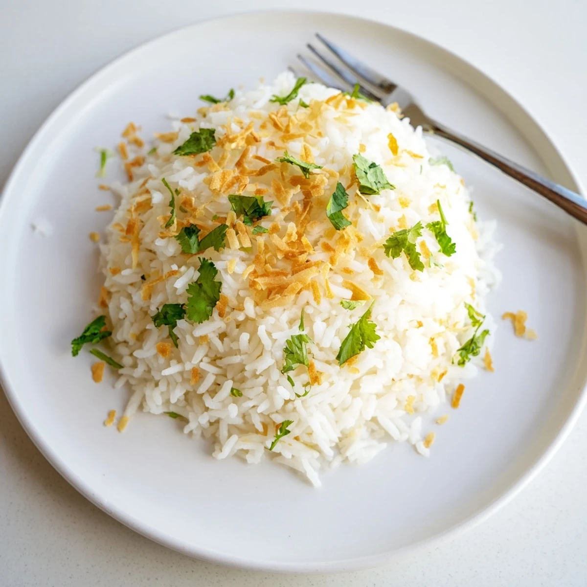 Creamy coconut rice steamed to fluffy perfection and garnished with toasted coconut flakes
